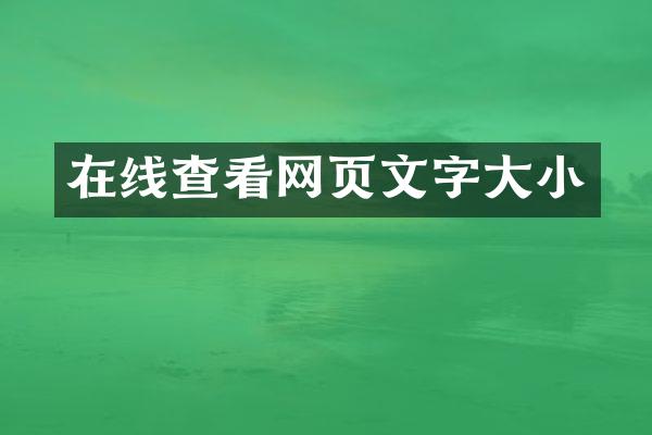 在线查看网页文字大小