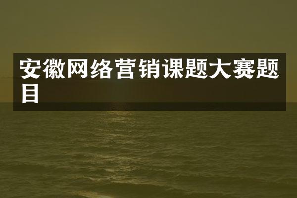 安徽网络营销课题大赛题目
