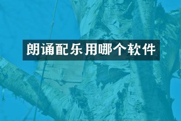 朗诵配乐用哪个软件