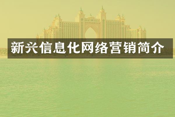 新兴信息化网络营销简介