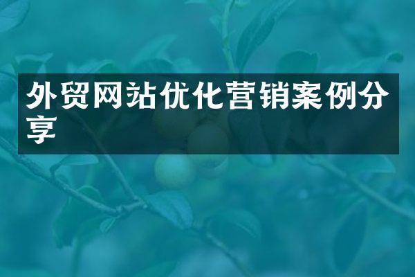 外贸网站优化营销案例分享