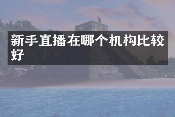 新手直播在哪个机构比较好