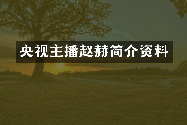 央视主播赵赫简介资料