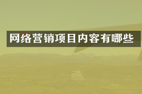 网络营销项目内容有哪些