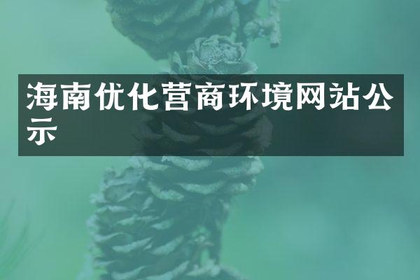 海南优化营商环境网站公示