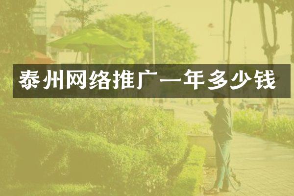 泰州网络推广一年多少钱