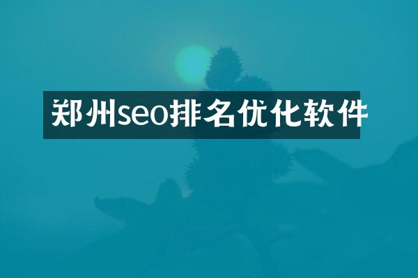 郑州seo排名优化软件