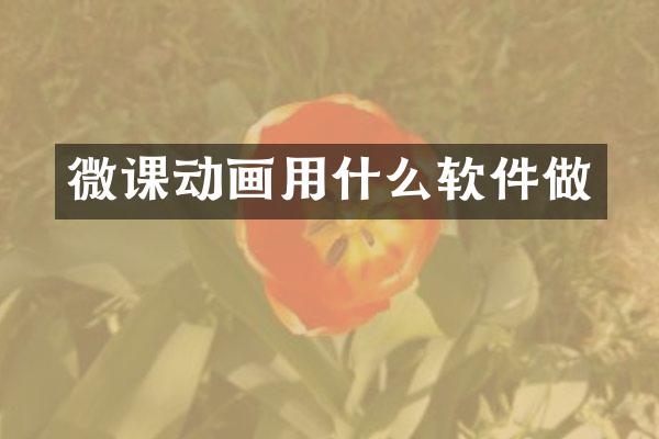 微课动画用什么软件做