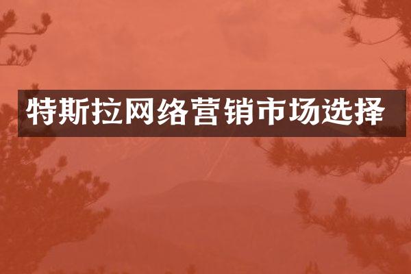 特斯拉网络营销市场选择