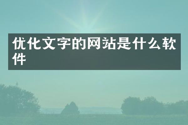 优化文字的网站是什么软件