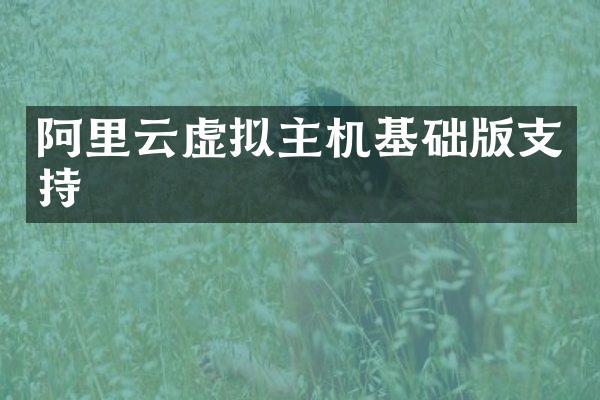 阿里云虚拟主机基础版支持