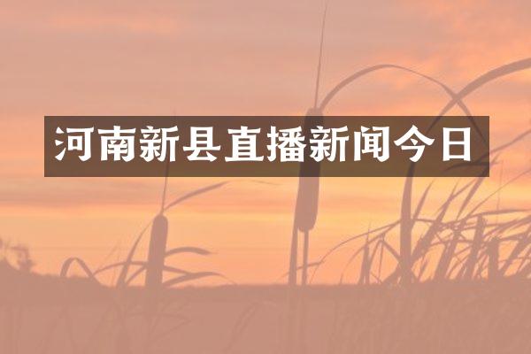 河南新县直播新闻今日