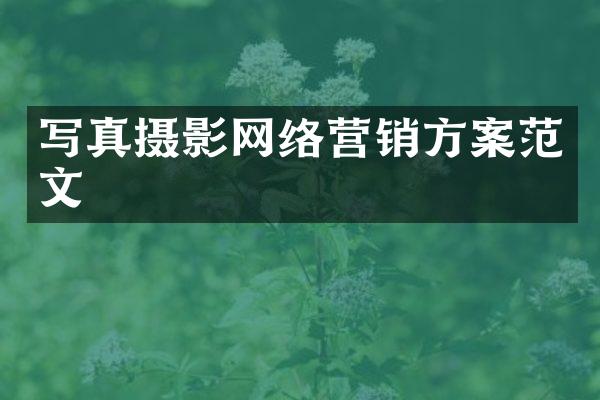 写真摄影网络营销方案范文
