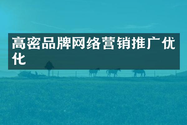 高密品牌网络营销推广优化