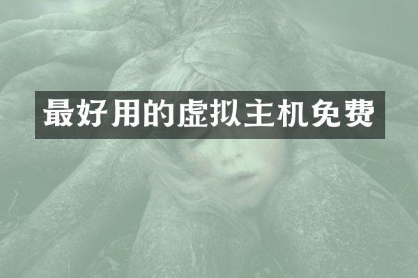 最好用的虚拟主机免费