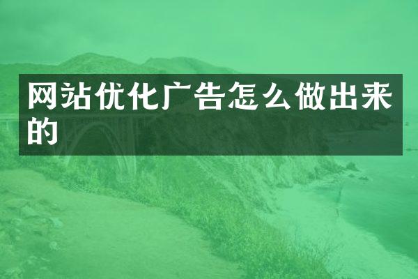 网站优化广告怎么做出来的