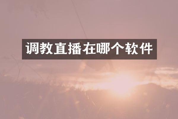 调教直播在哪个软件