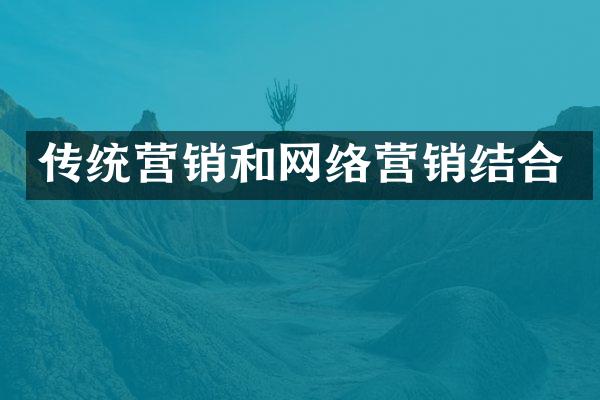 传统营销和网络营销结合
