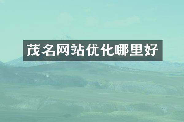 茂名网站优化哪里好