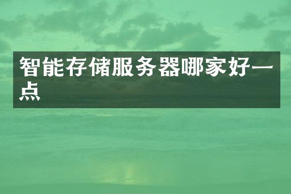 智能存储服务器哪家好一点