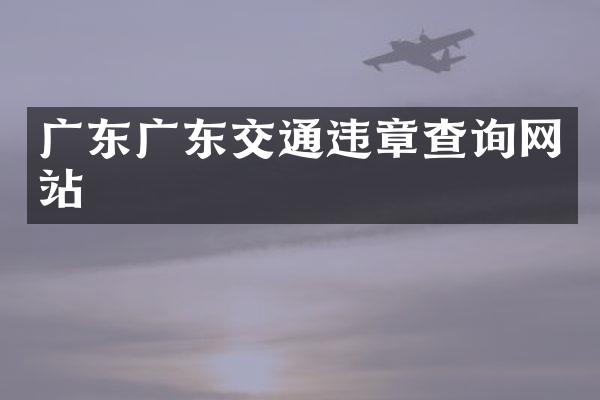 广东广东交通违章查询网站