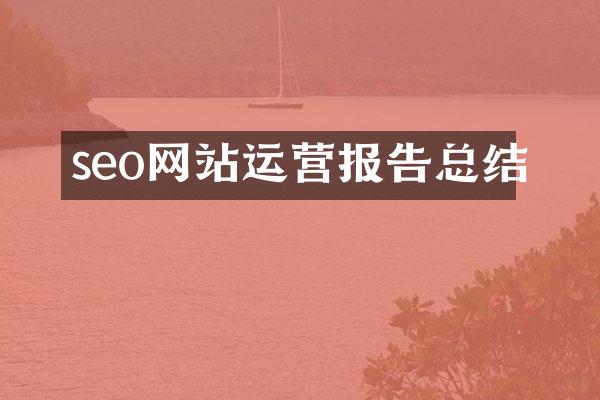 seo网站运营报告总结