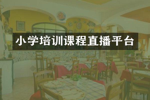 小学培训课程直播平台