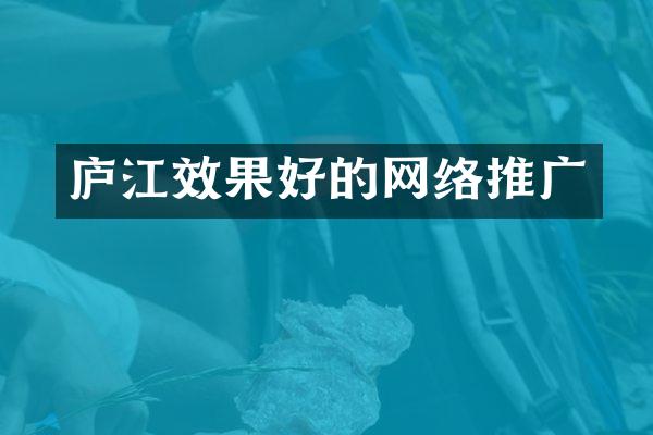 庐江效果好的网络推广
