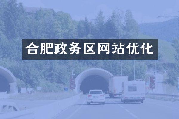 合肥政务区网站优化
