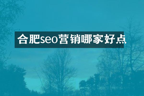 合肥seo营销哪家好点