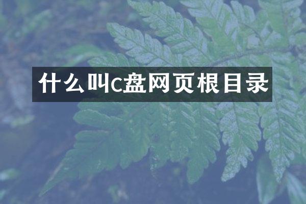 什么叫c盘网页根目录