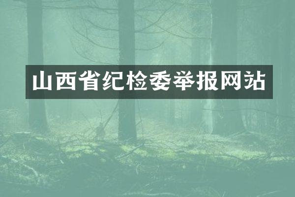 山西省纪检委举报网站