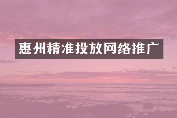 惠州精准投放网络推广