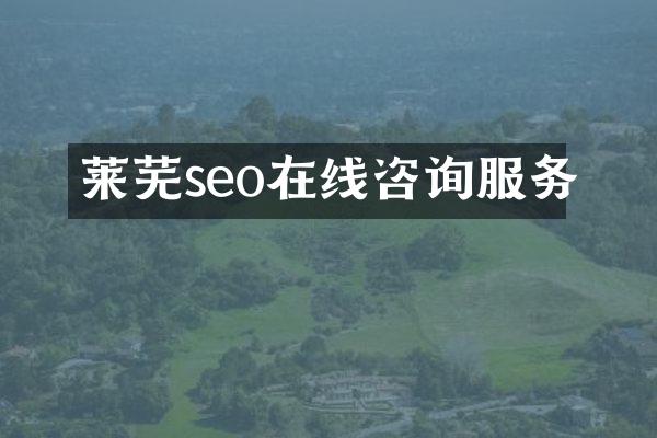 莱芜seo在线咨询服务