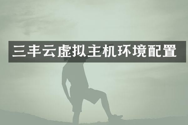 三丰云虚拟主机环境配置
