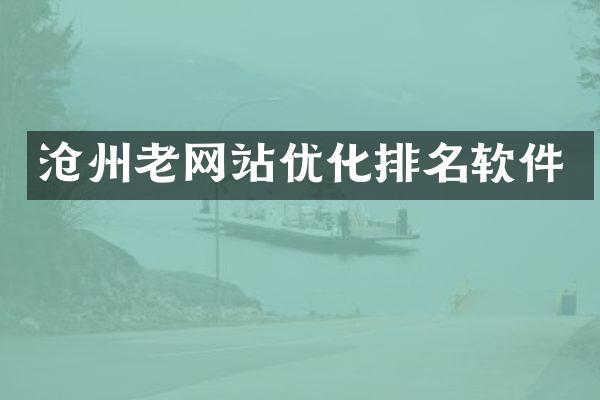沧州老网站优化排名软件