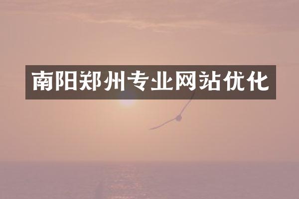 南阳郑州专业网站优化