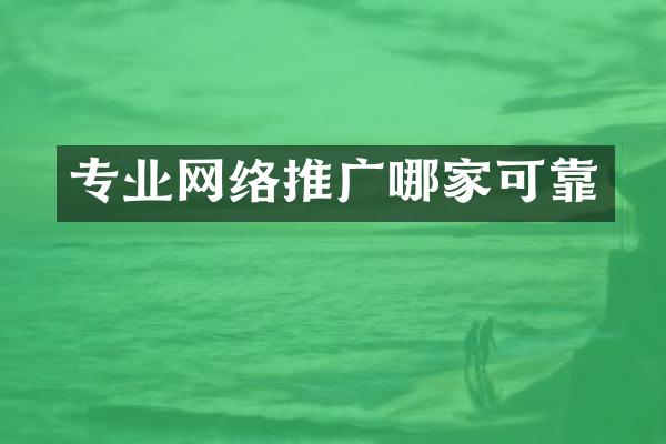 专业网络推广哪家可靠