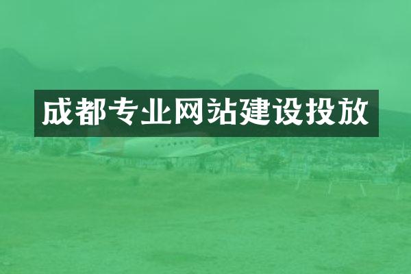 成都专业网站建设投放