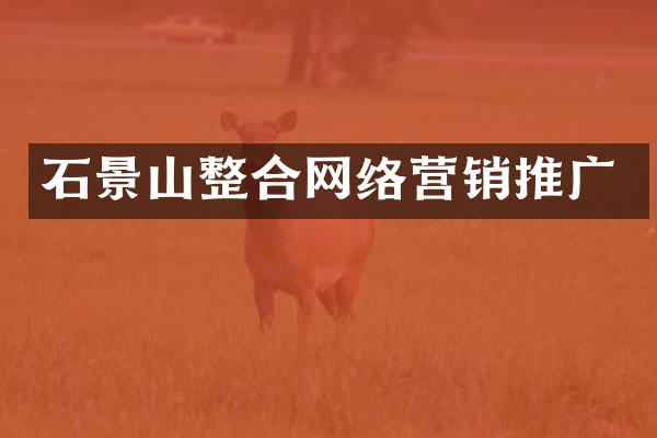 石景山整合网络营销推广