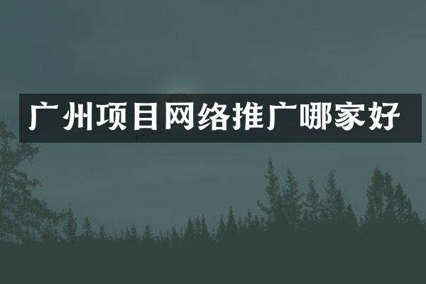 广州项目网络推广哪家好