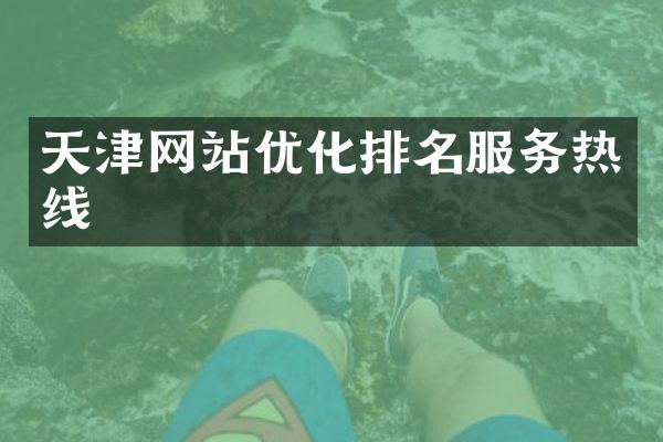 天津网站优化排名服务热线