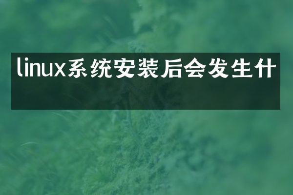 linux系统安装后会发生什么