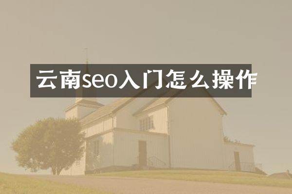 云南seo入门怎么操作
