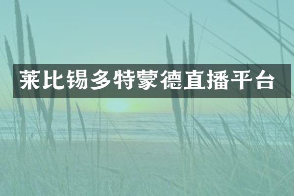 莱比锡多特蒙德直播平台