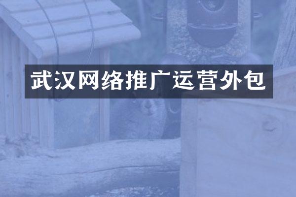 武汉网络推广运营外包