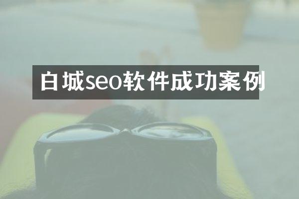 白城seo软件成功案例