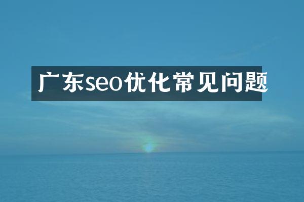 广东seo优化常见问题
