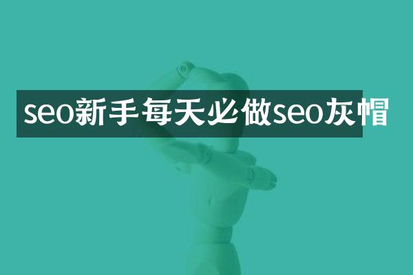seo新手每天必做seo灰帽