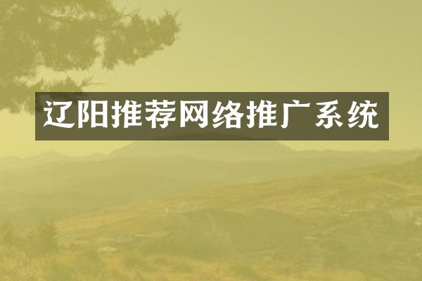 辽阳推荐网络推广系统